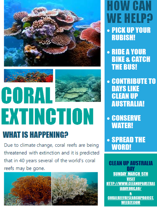 Poster - Coral Reefs